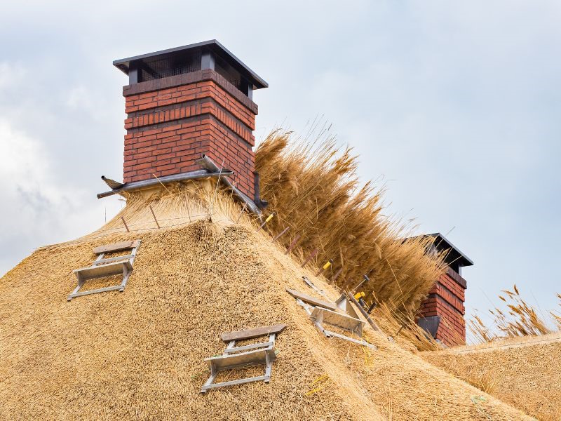 Toit de chaume : rénovation et pose Durée de vie d'un toit de chaume