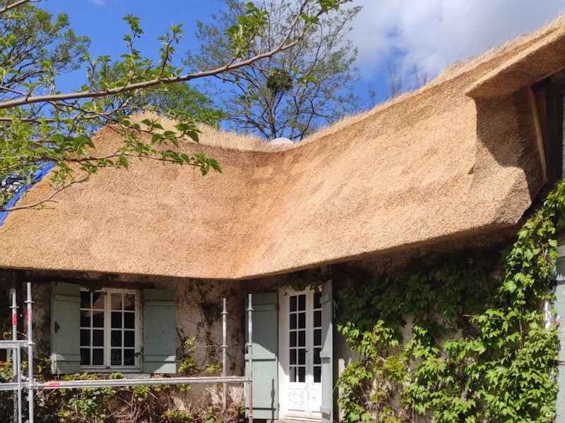 Prix toit de chaume maison