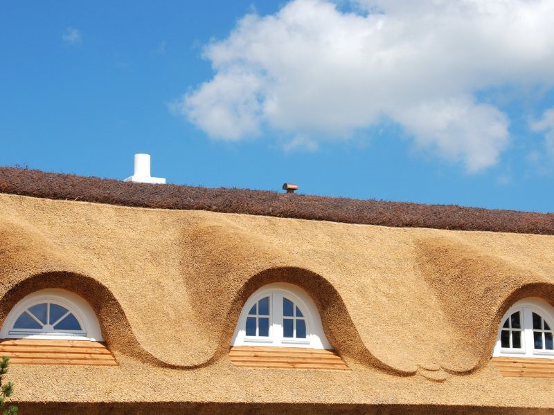Toit de chaume : rénovation et pose Toit de chaume