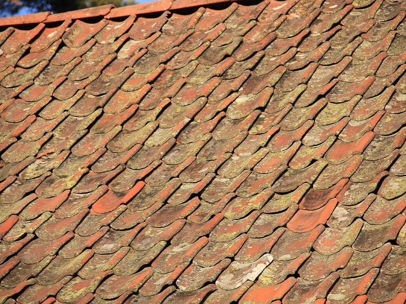 Toiture ancienne tuile : nos conseils Tuiles pannes flamandes