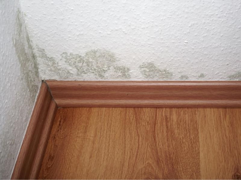 Problème d'humidité en intérieur