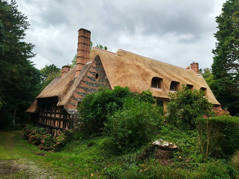 Toit de chaume : rénovation et pose Chaumier Normandie