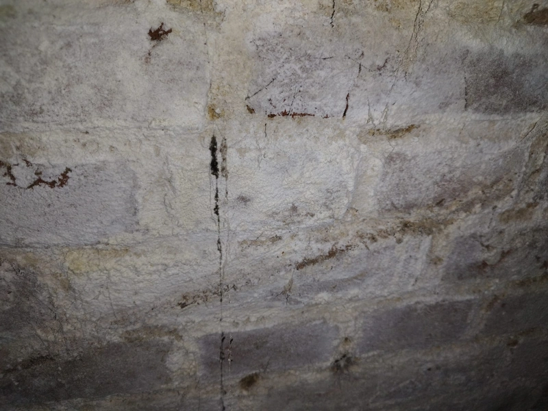 Salpêtre sur un mur : danger et solutions Salpêtre mur