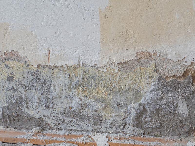 Salpêtre sur un mur : danger et solutions Salpêtre et remontées capillaires