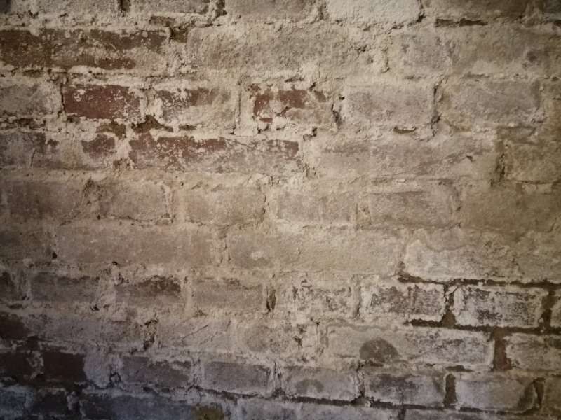 Entreprise de traitement de l'humidité Salpêtre sur les murs