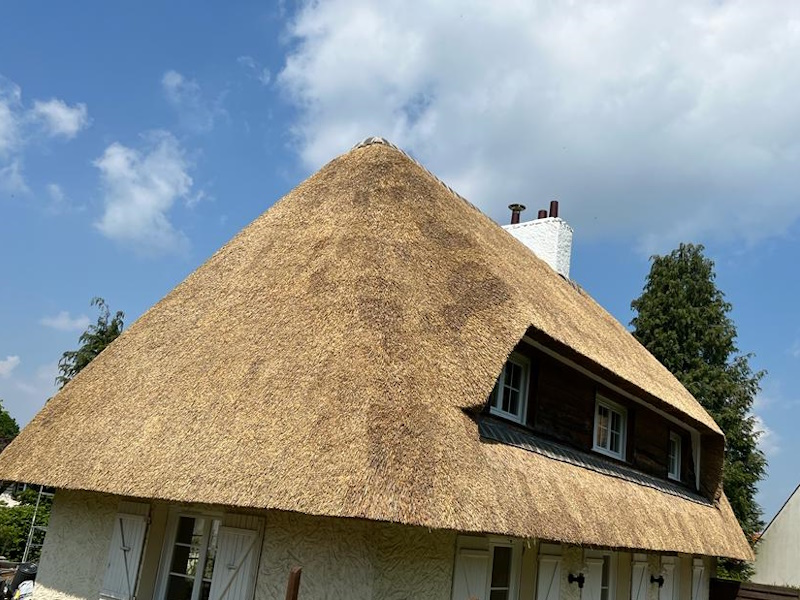 Toit de chaume : rénovation et pose Toit de chaume Bretagne