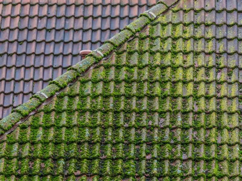 Quand refaire une toiture ?