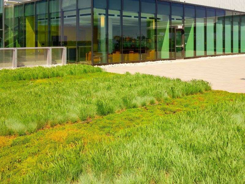 Étanchéité d'une toiture terrasse en Île-de-France Toit végétal : tout savoir
