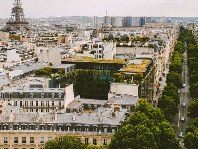 Toits vegetalisees paris