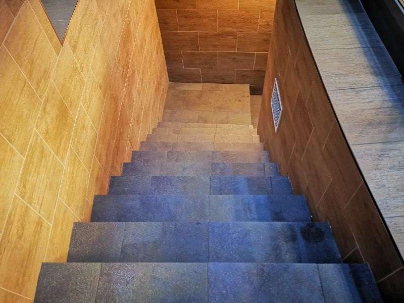 Entreprise de traitement de l'humidité Rénovation d'une cave : guide complet