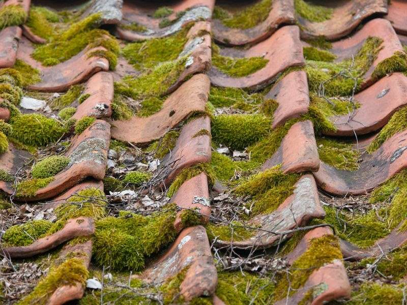 Rénovation extérieure d'une maison : le guide Quand refaire sa toiture ?