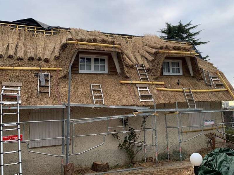 Toit en roseau