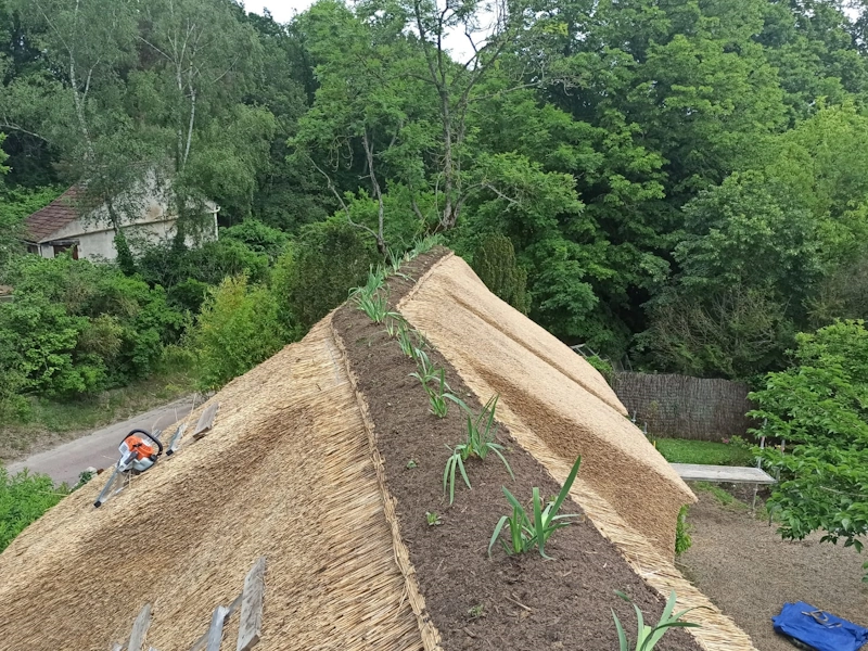 Toit de chaume : rénovation et pose Faîtage d'un toit de chaume