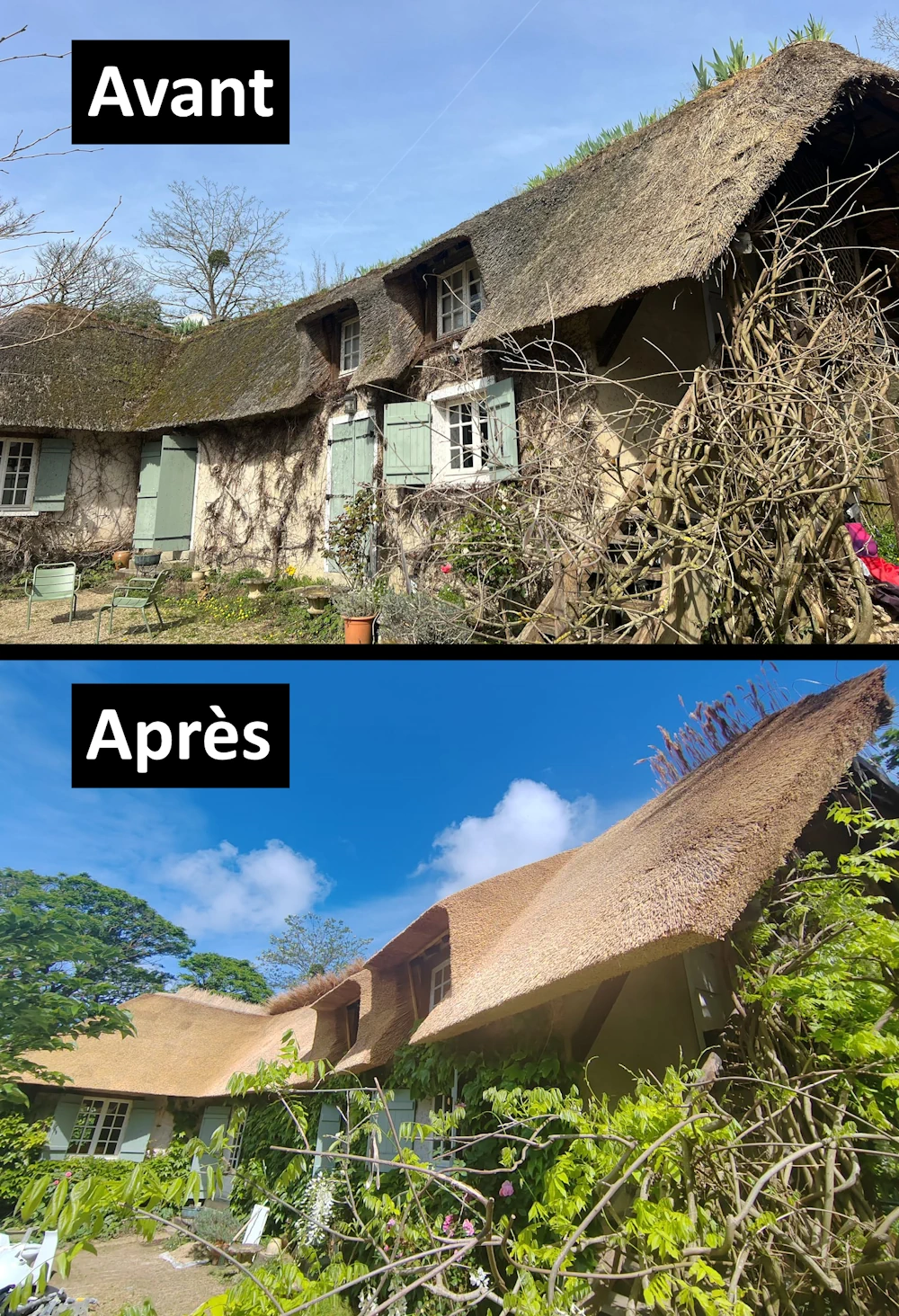 Couvreur chaumier 78 avant après