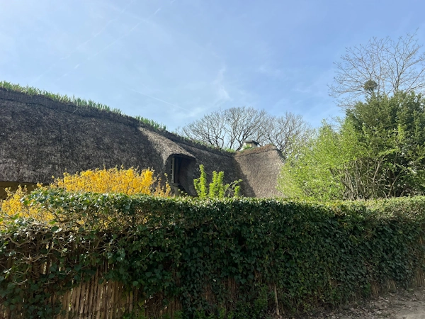 Toiture en chaume yvelines