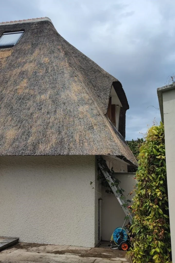 Entretien toit de chaume 78