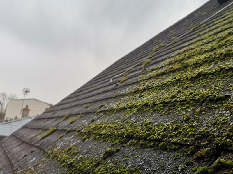 Avantages et inconvénients de la toiture en tuiles Alternatives à la tuile