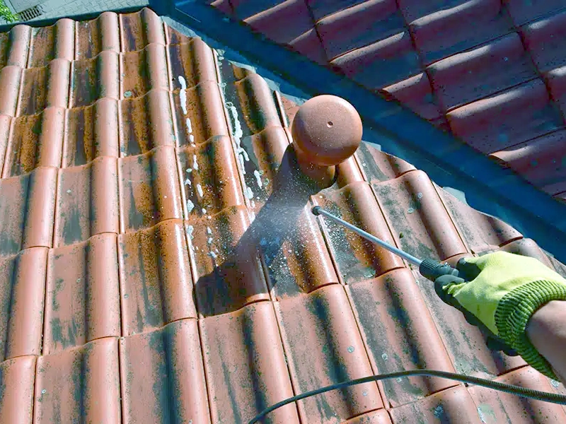 Anti mousse toiture : techniques, traitement et conseils Traitement antifongique toiture
