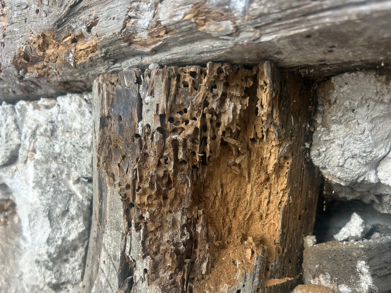 Restauration de pan de bois : le guide complet Désordres du pan de bois