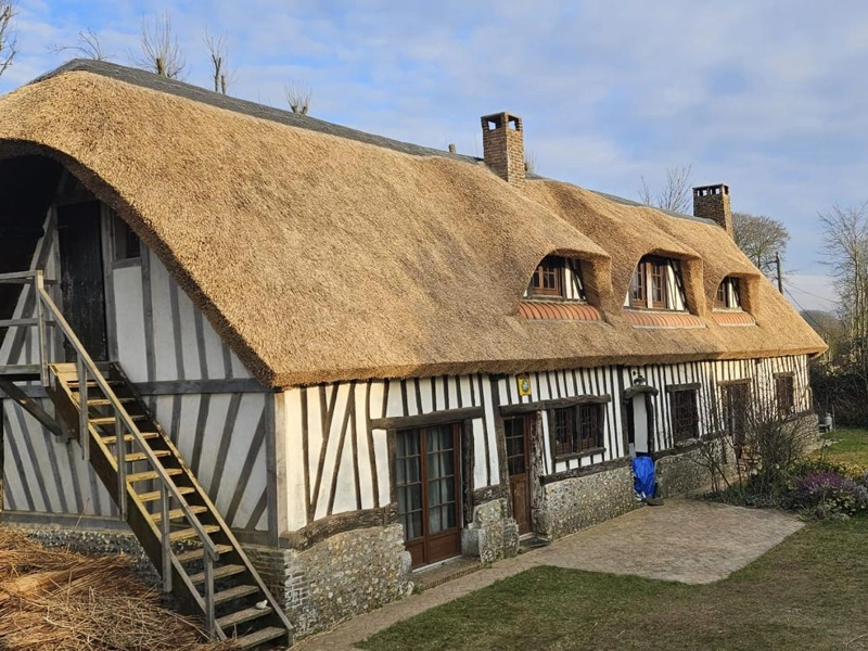 Restauration de pan de bois : le guide complet Rénovation des pans de bois