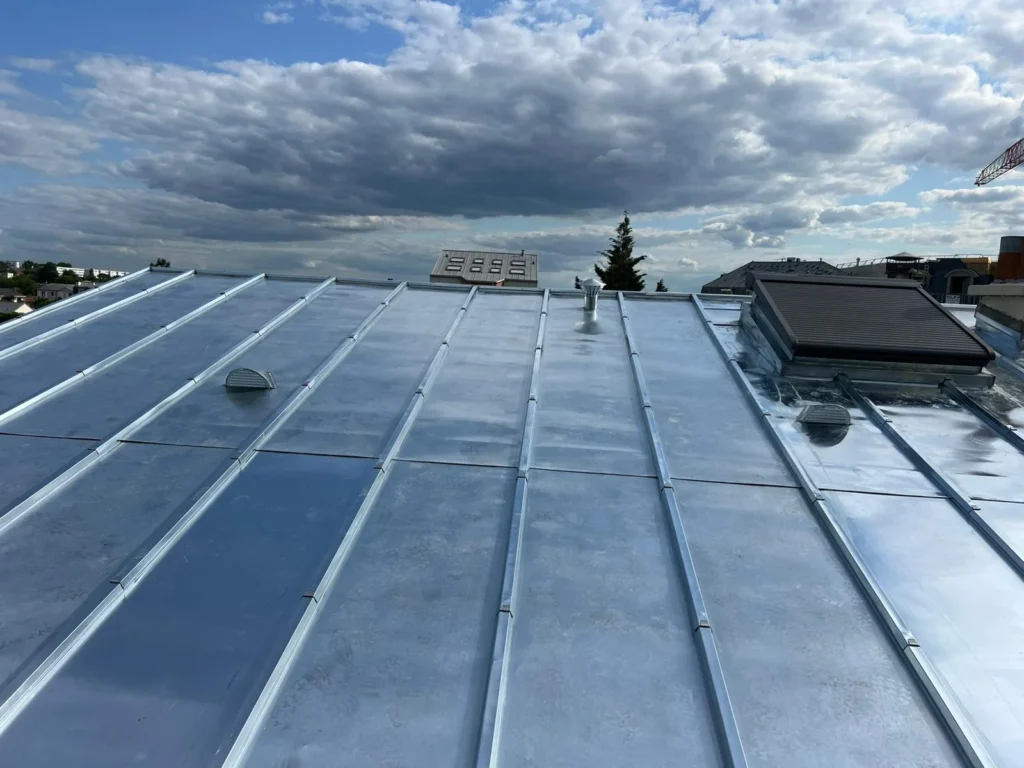Toit zinc perreux sur marne 94