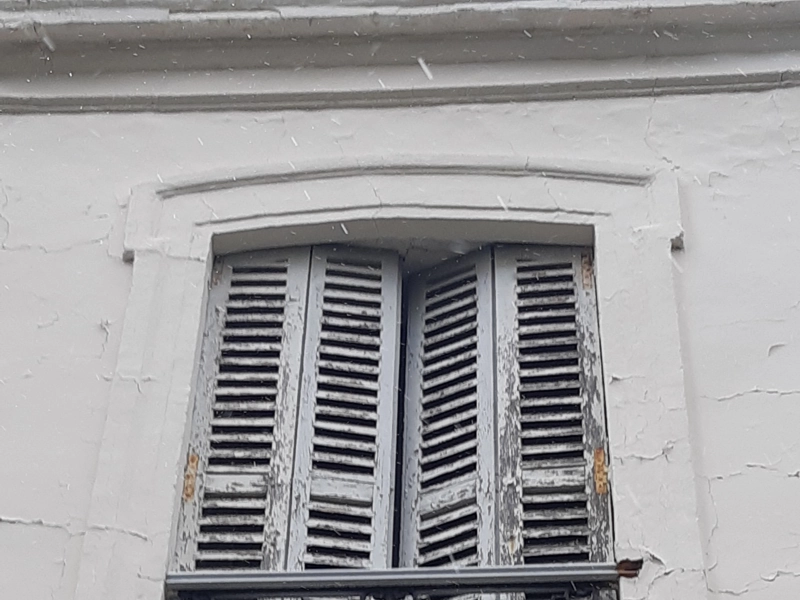 Diagnostic modénatures façade