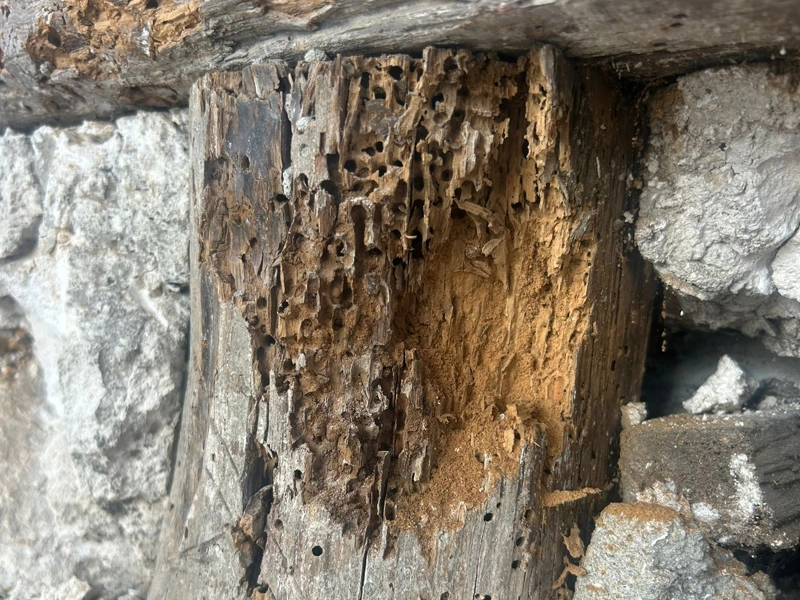 Résine époxy pans de bois
