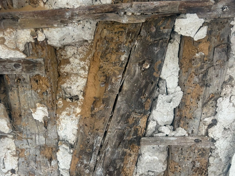 Traitement et rénovation de charpente à Paris et en Île-de-France Résine époxy armée pans de bois