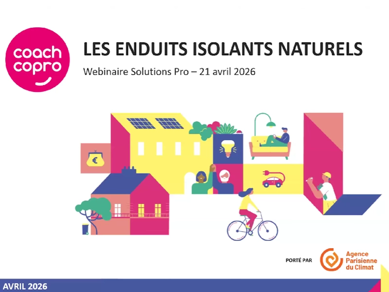 Webinaire Solutions Pro Enduits Isolants Naturels